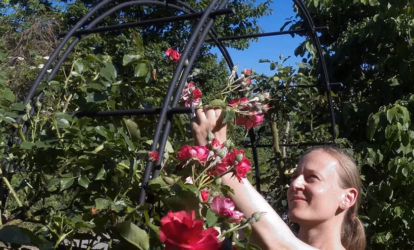 « Je pensais bien faire » : quand déclarer son abri de jardin aux impôts peut se révéler trompeur